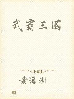 武霸三国