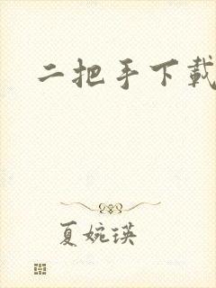 二把手下载