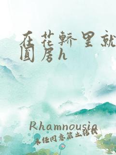 在花轿里就开始圆房h