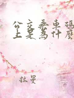 公交乘车码扫不上是为什么