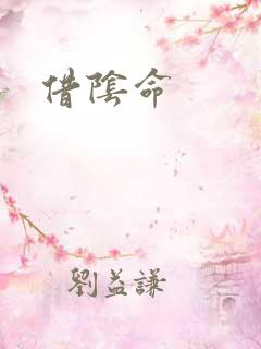 借阴命