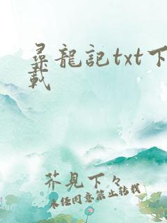 寻龙记txt下载