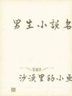 男生小说名字