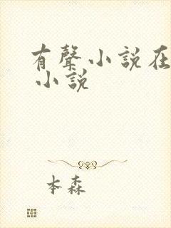 有声小说在线听 小说