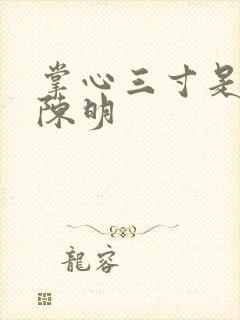 掌心三寸是人间陈明