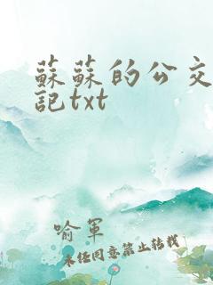 苏苏的公交车日记txt