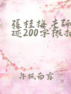 张桂梅老师的事迹200字概括