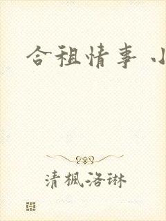 合租情事 小说
