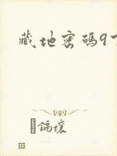 藏地密码9下载