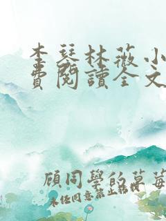 李琴林薇小说免费阅读全文最新章节