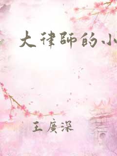 大律师的小老婆