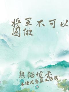 将军不可以在花园做