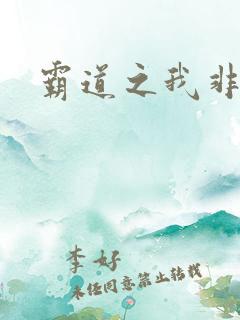 霸道之我非英雄