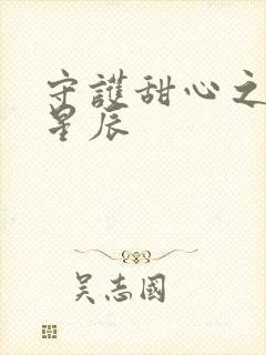 守护甜心之暗夜星辰