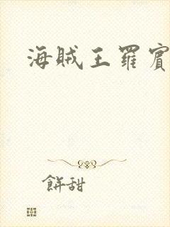 海贼王罗宾h