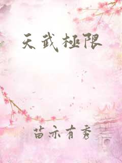 天武极限