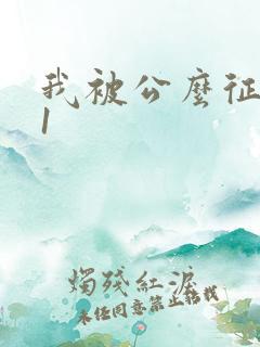我被公么征服了1