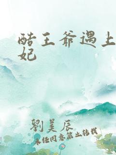 酷王爷遇上穿越妃