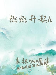 燃燃升起h