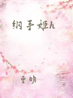 纲手姬h