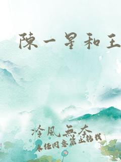 陈一星和王远