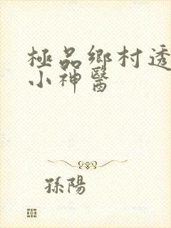极品乡村透视眼小神医