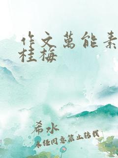 作文万能素材张桂梅