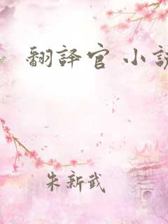 翻译官 小说