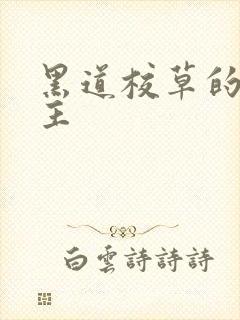 黑道校草的冷公主
