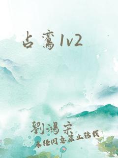 占鸾1v2