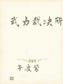 武力裁决所