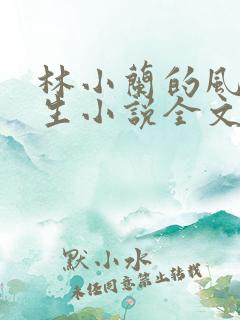 林小兰的风流人生小说全文免费阅读