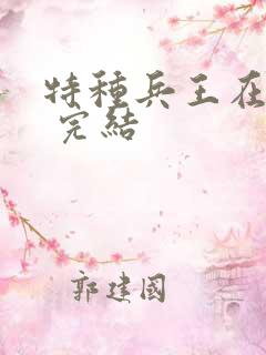 特种兵王在山村 完结