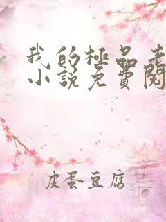 我的极品老婆 小说免费阅读