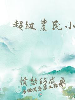 超级农民小说