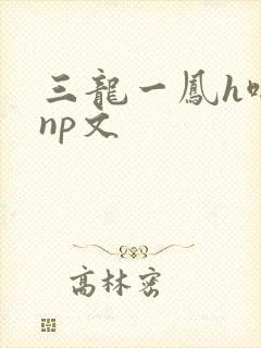 三龙一凤h啪肉np文