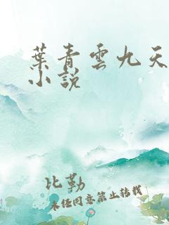 叶青云九天玄宗小说