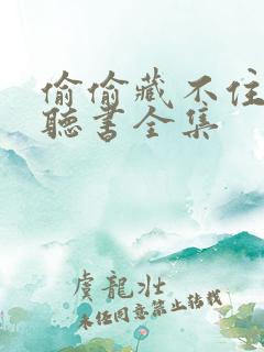 偷偷藏不住免费听书全集