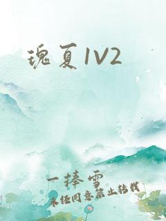 瑰夏1V2