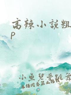 高辣小说粗口np