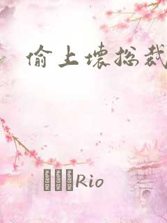 偷上坏总裁
