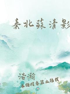 秦北苏清影小说