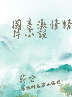 国产激情精品图片小说