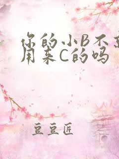 你的小B不就是用来C的吗