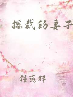 总裁的妻子