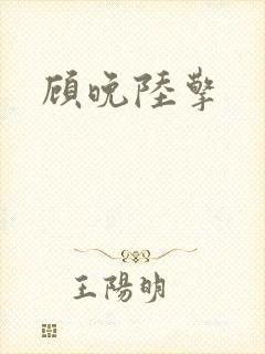 顾晚陆擎