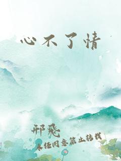 心不了情