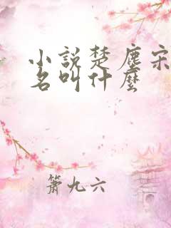 小说楚尘宋颜书名叫什么