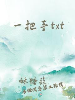一把手txt