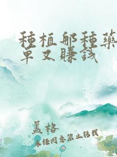 种植那种药材简单又赚钱